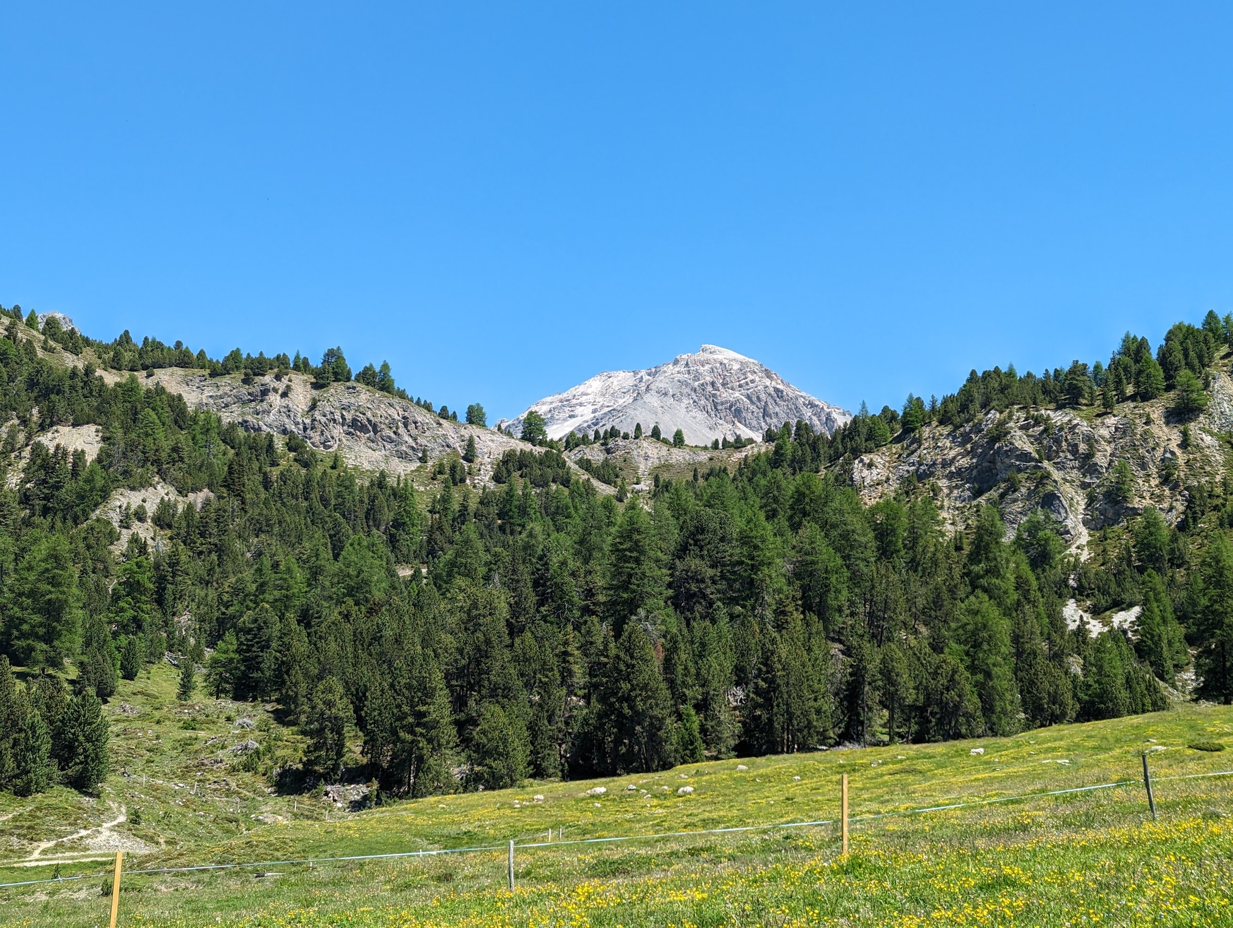 Alprestaurant La Posa